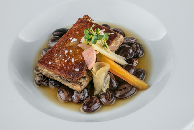 Olympe-LATAM-2018-DISH2